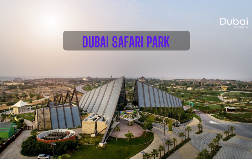 Exploring Dubai Safari Park Tour: A Wildlife Adventure in 2024-25